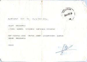 Olgun Delikanlı